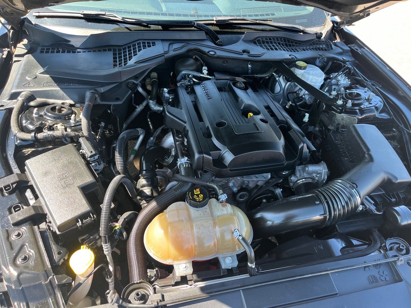 2018 Ford Mustang EcoBoost