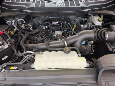 2026 Ford F-150 STX - Crossroads Courtesy Demo