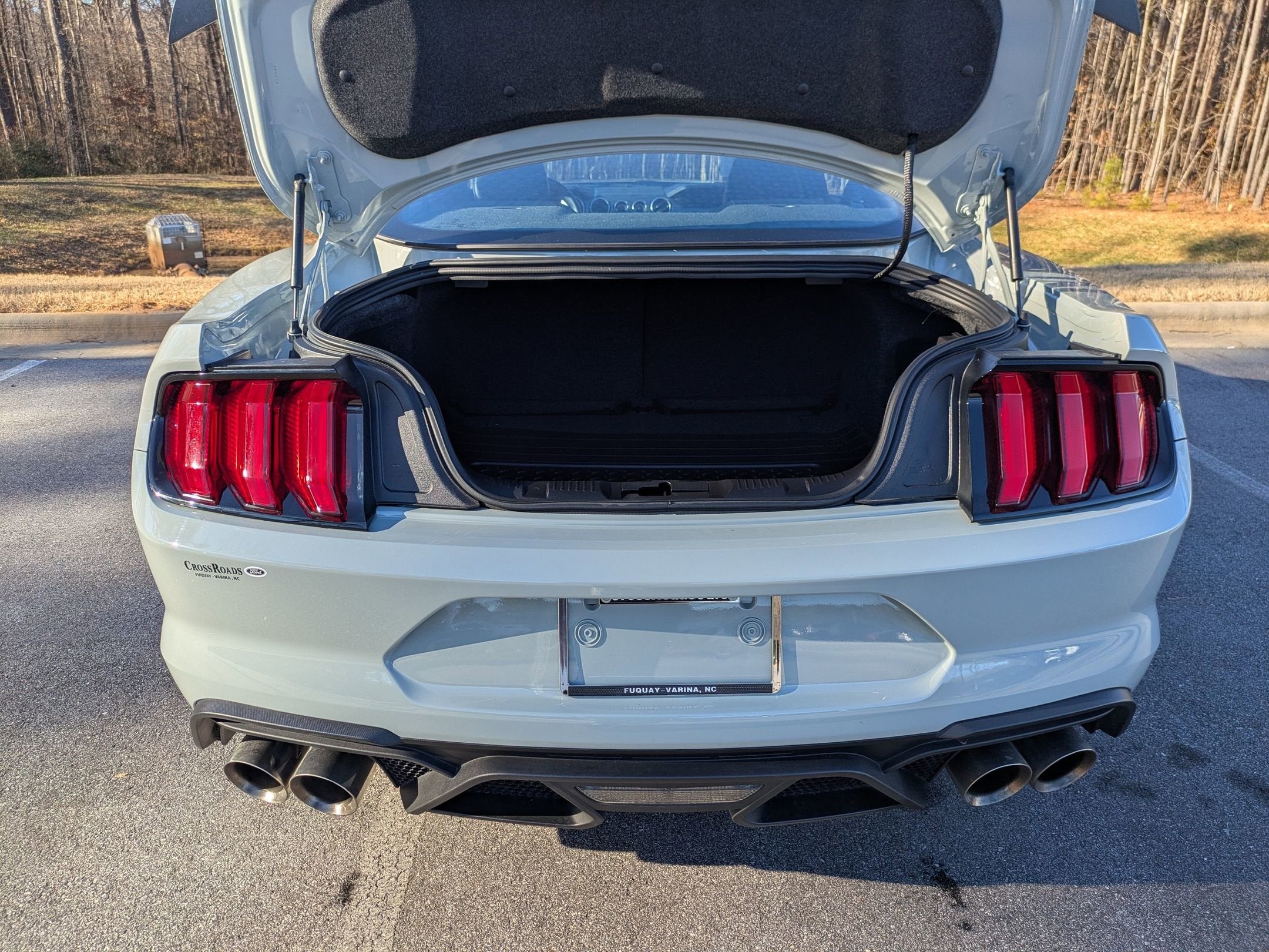 2021 Ford Mustang Mach 1