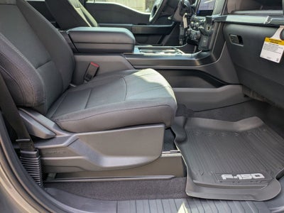 2026 Ford F-150 STX - LOBO