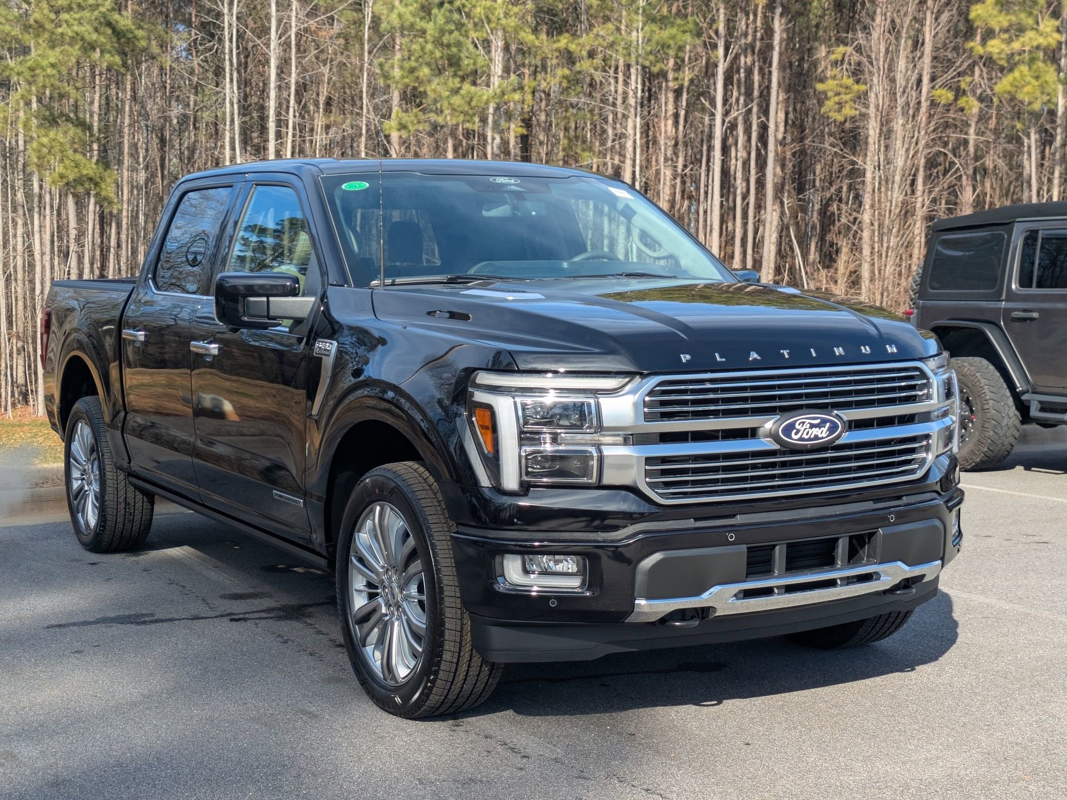 2025 Ford F-150 Platinum