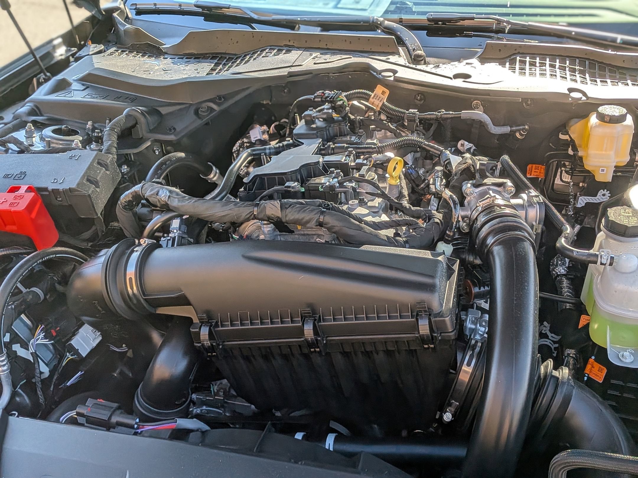 2026 Ford Mustang EcoBoost