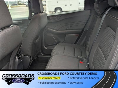 2025 Ford Escape Active - Crossroads Courtesy Demo