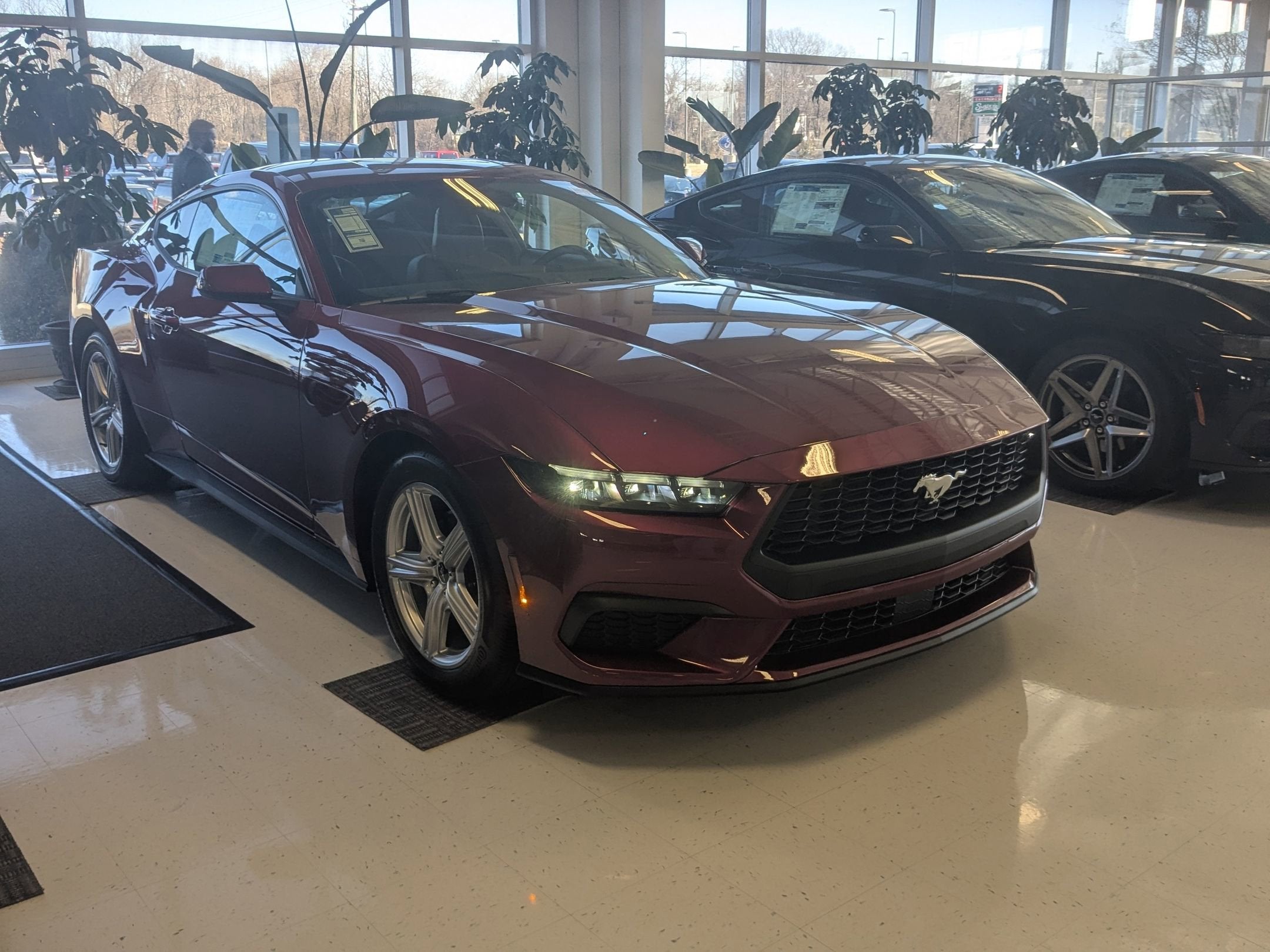 2026 Ford Mustang EcoBoost