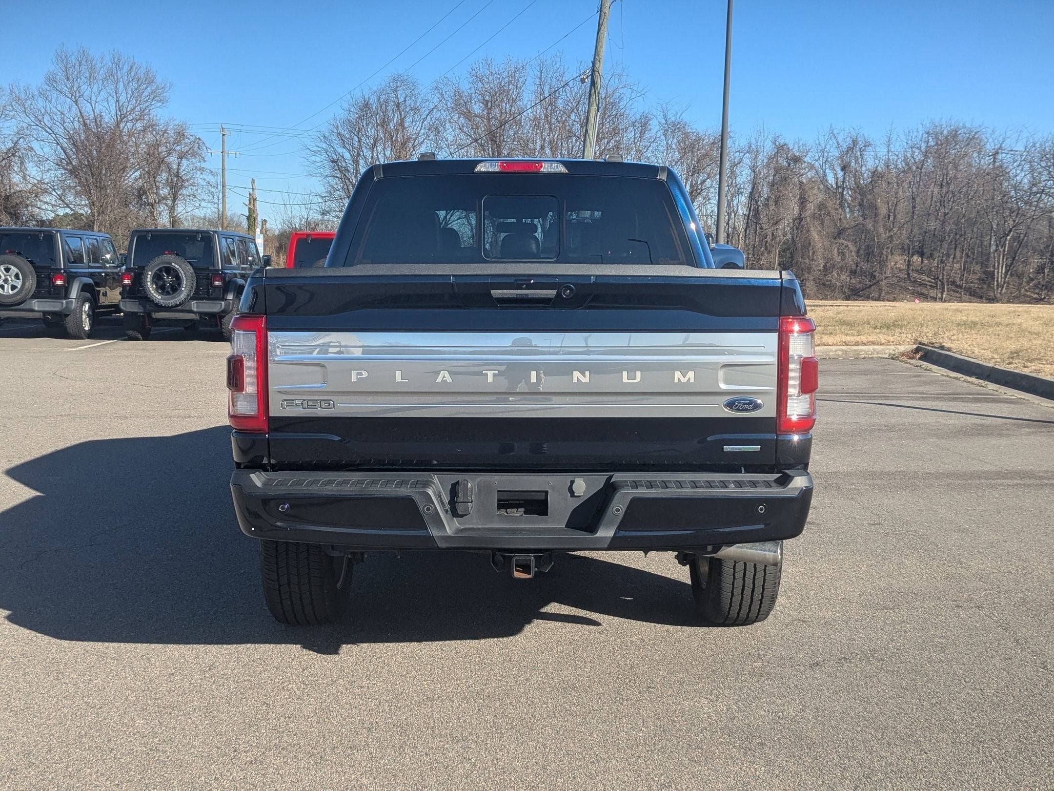 2023 Ford F-150 Platinum
