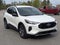 2025 Ford Escape ST-Line - Crossroads Courtesy Demo