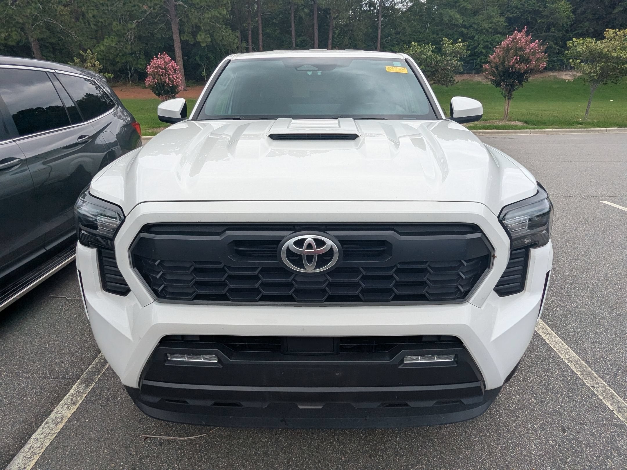 2024 Toyota Tacoma 2WD TRD Sport