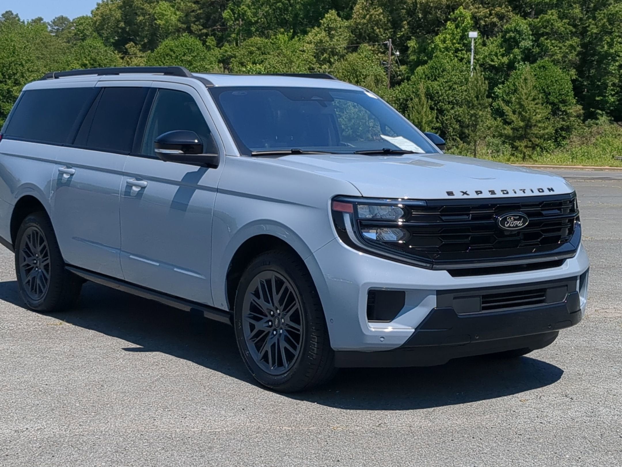 2025 Ford Expedition Platinum MAX 4x4's photo