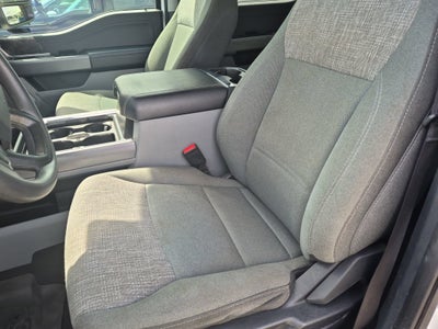 2024 Ford Super Duty F-250 SRW XLT