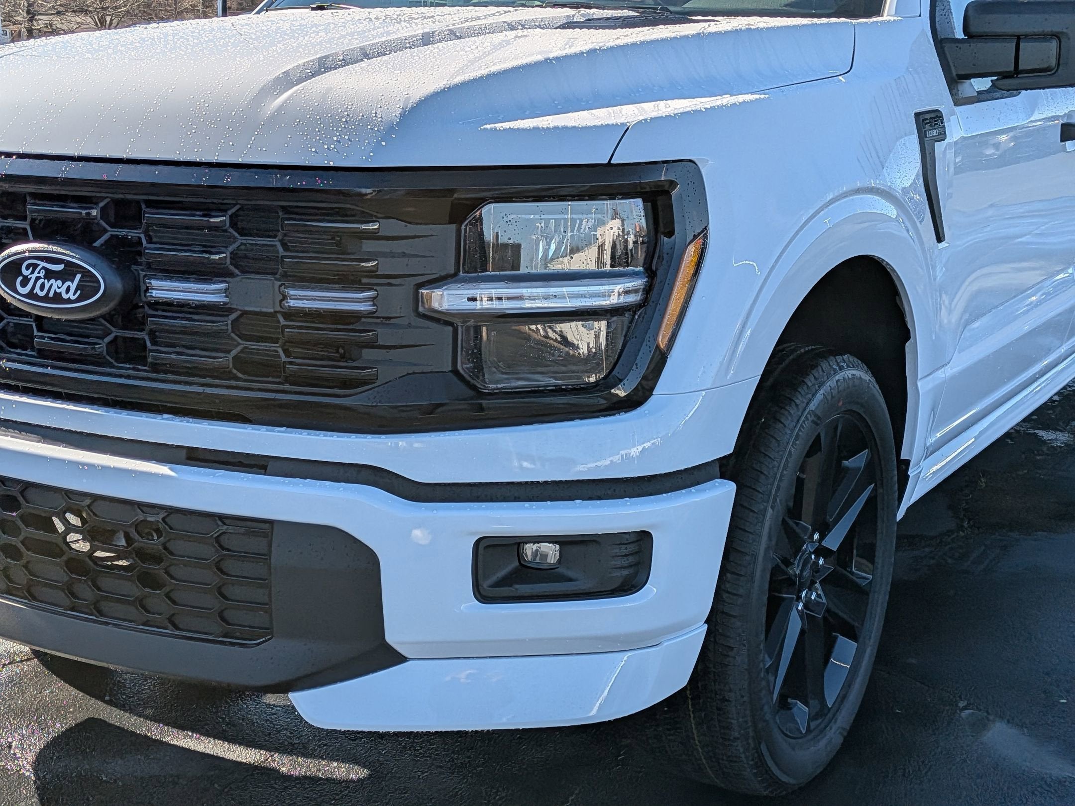 2026 Ford F-150 STX - LOBO