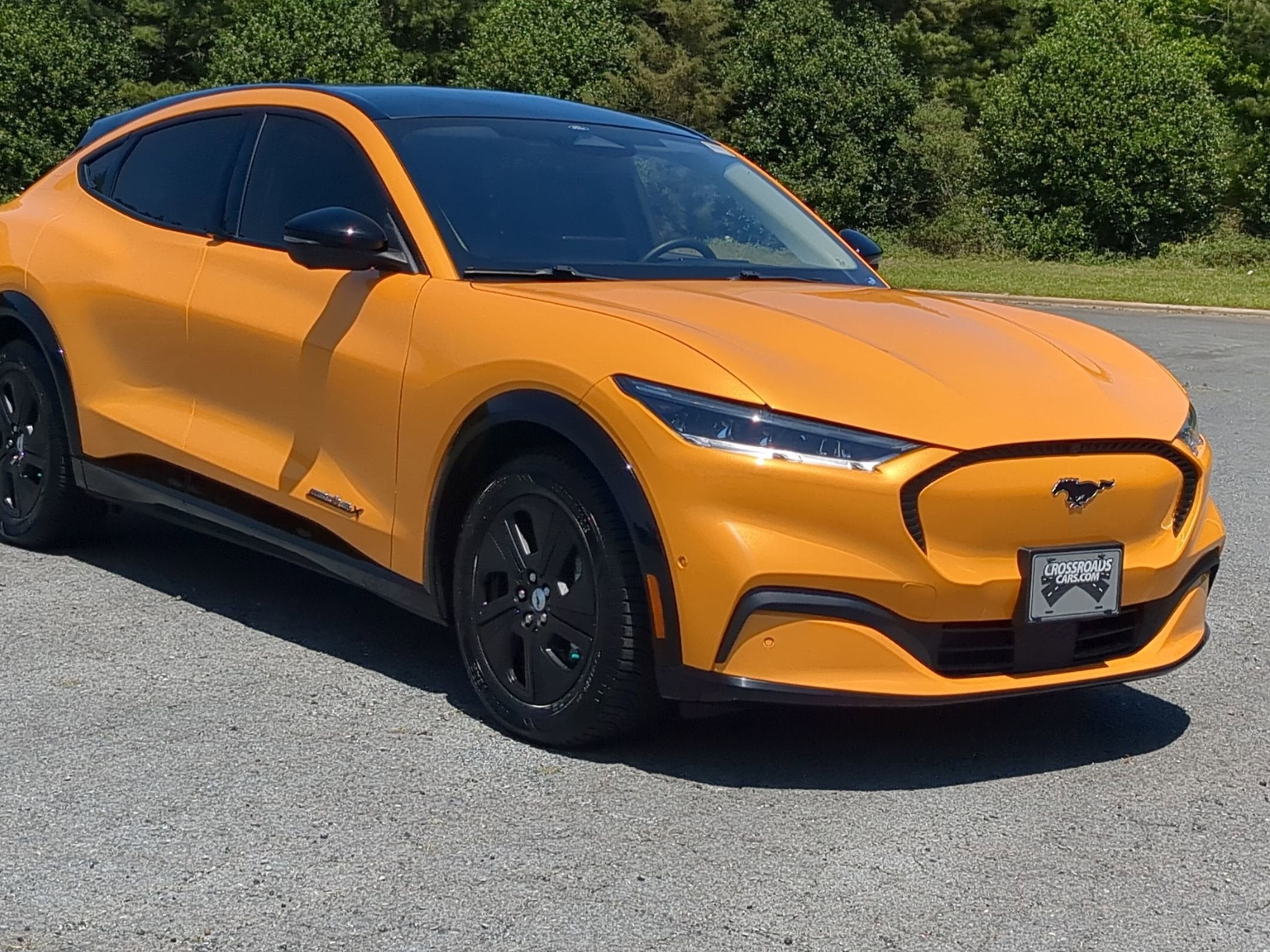 2023 Ford Mustang-Mach-e California Route 1's photo