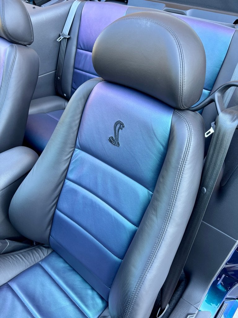 2004 Ford Mustang SVT Cobra