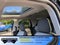 2026 Ford Bronco Sport Badlands - Crossroads Courtesy Demo