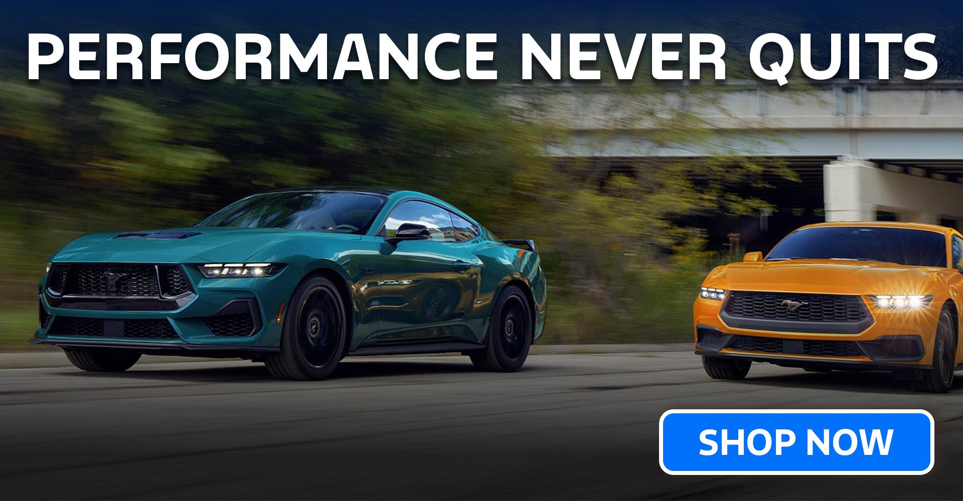 2026 Ford Mustang Indian Trail, NC