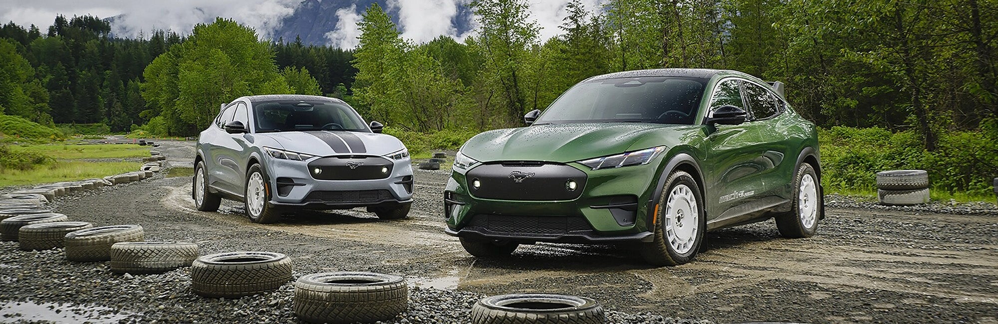 Ford Mustang Mach-E Exterior