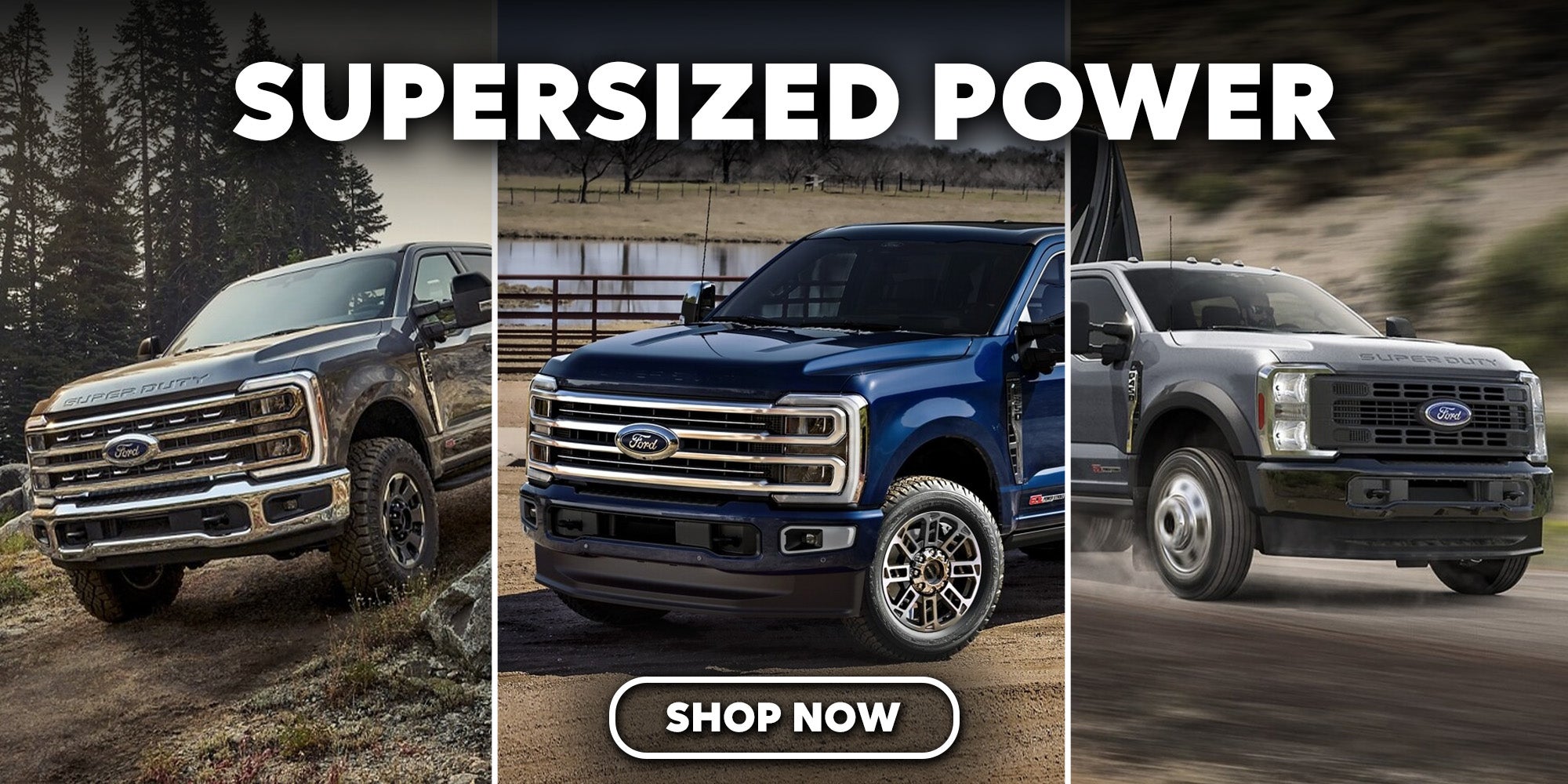 2025 Ford Super Duty Indian Trail NC